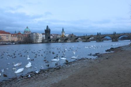 mercatini di natale di praga mercatini di natale di praga