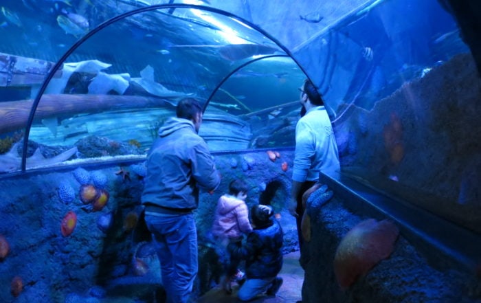 gardaland sea life aquarium