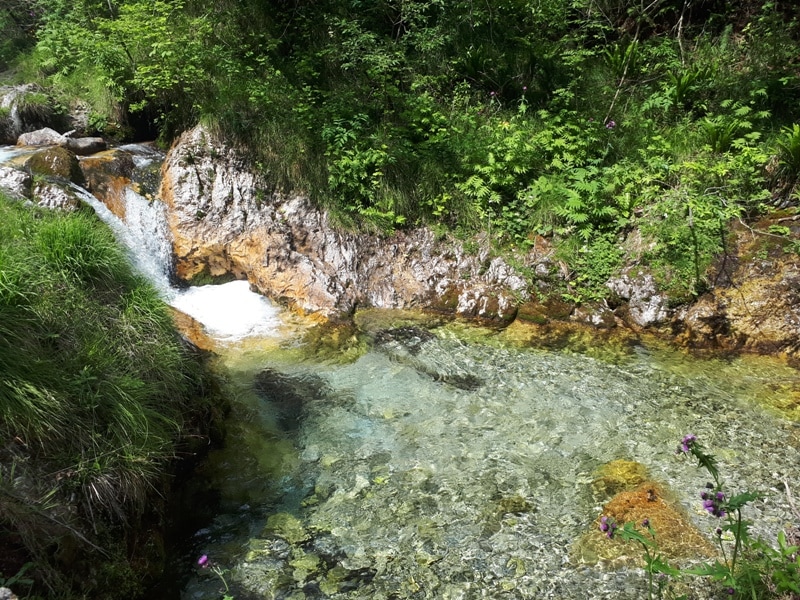 trekking con bambini vicino bergamo