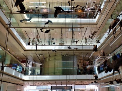 muse di trento cosa vedere con bambini