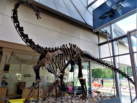 muse di trento cosa vedere con bambini