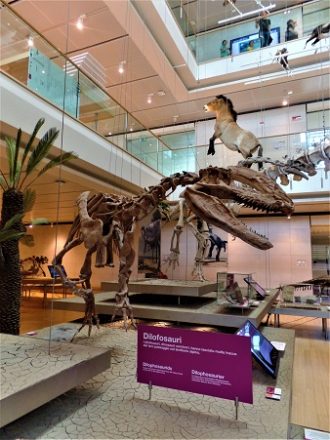 muse di trento cosa vedere con bambini