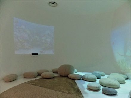 muse di trento cosa vedere con bambini