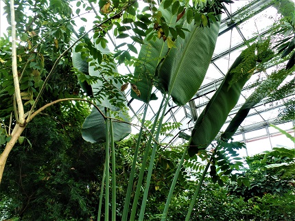 muse di trento cosa vedere con bambini