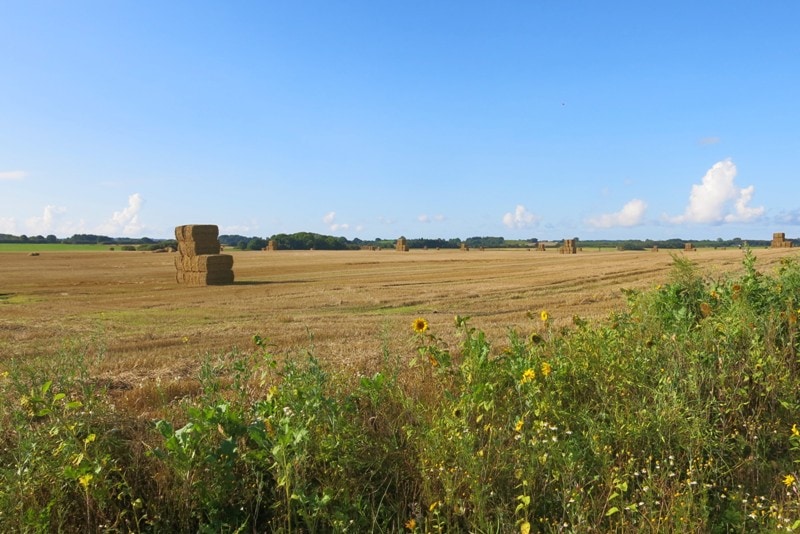 quattro giorni in danimarca con i bambini