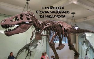 museo di storia naturale di new york con i bambini