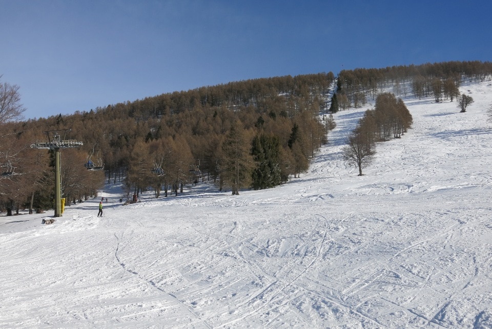 pian delle betulle in inverno