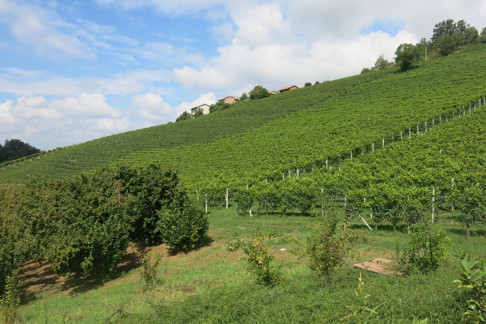 Dove dormire a Monforte d’Alba