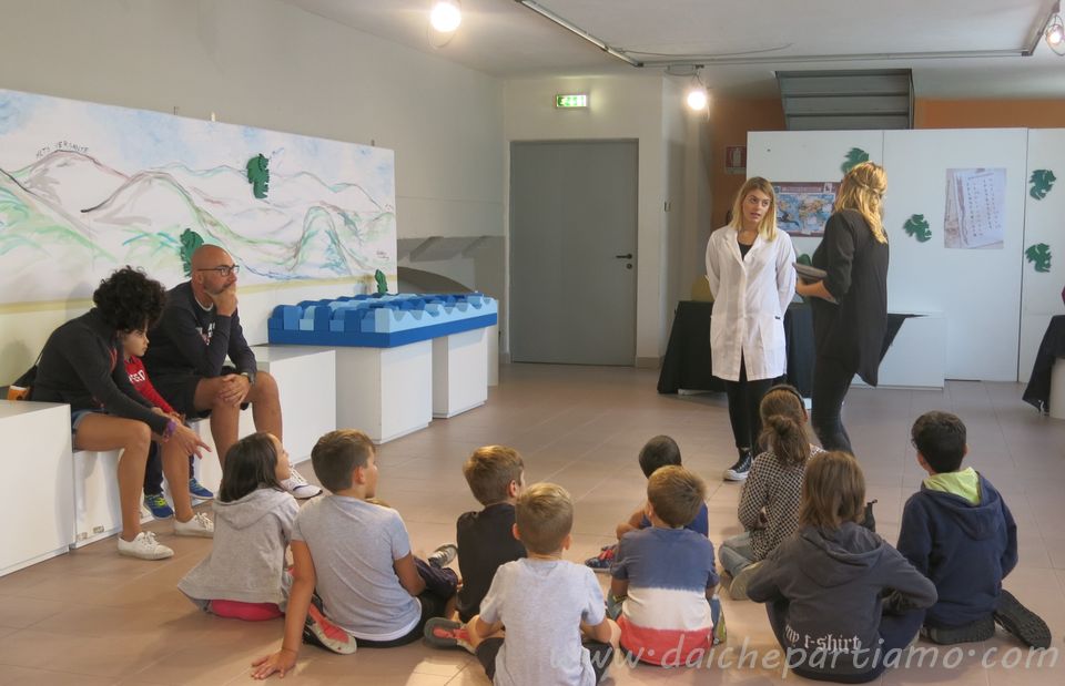 draghi del lago d'Orta