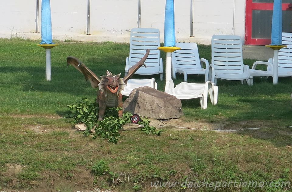 draghi del lago d'Orta