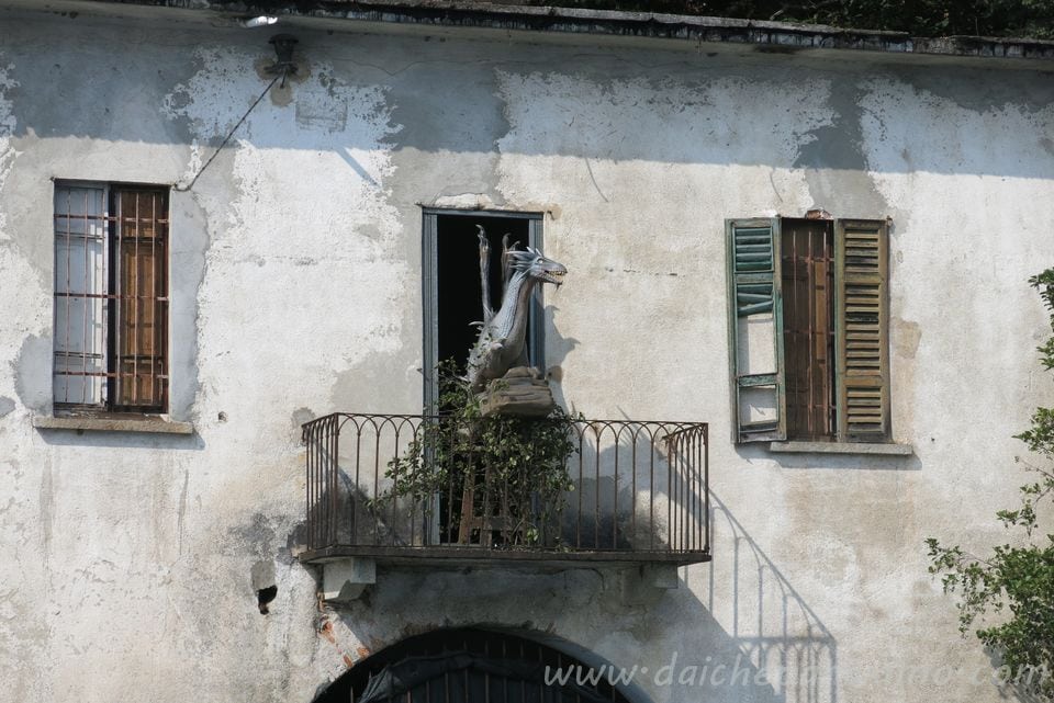 draghi del lago d'Orta