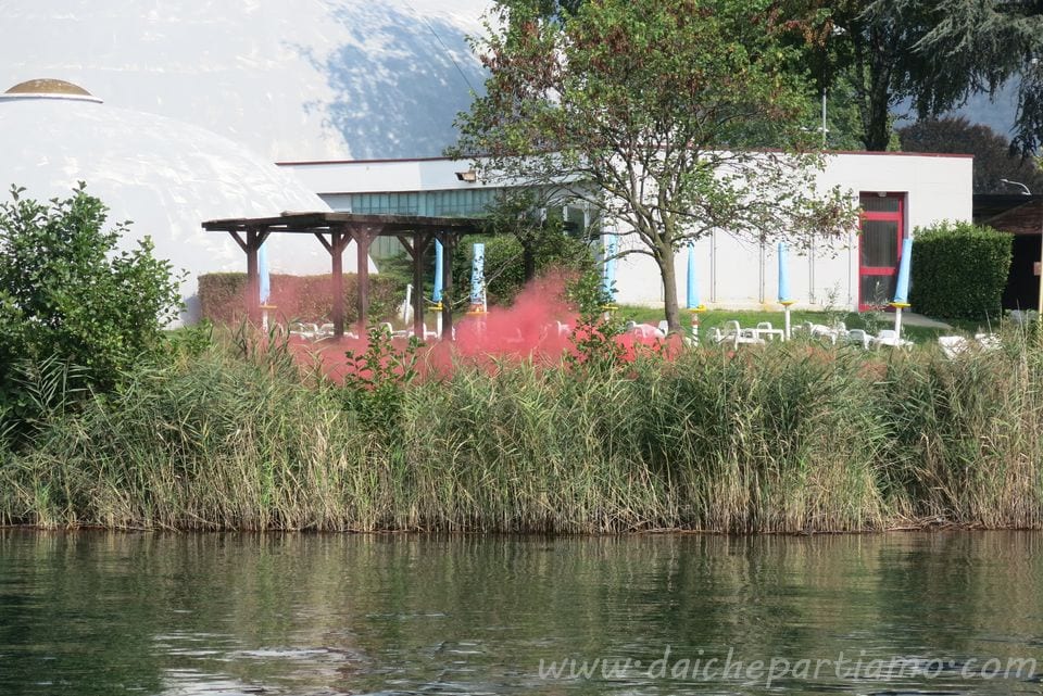 draghi del lago d'Orta