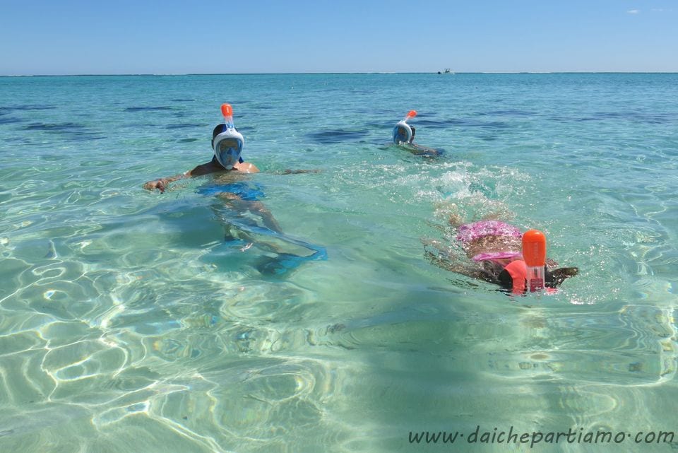 Maschere da Snorkeling Easybreath