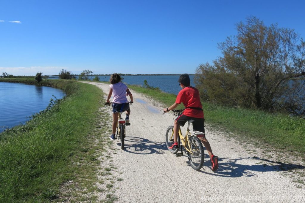 ciclabile albarella laguna veneto con bambini