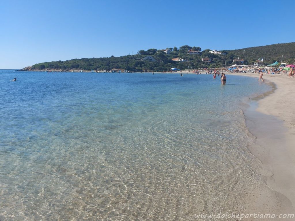 Maladroixa sardegna sud