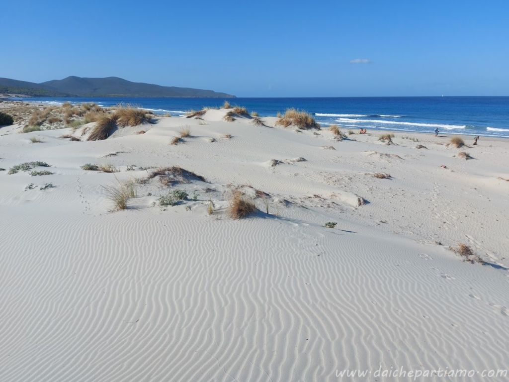 dune porto pino