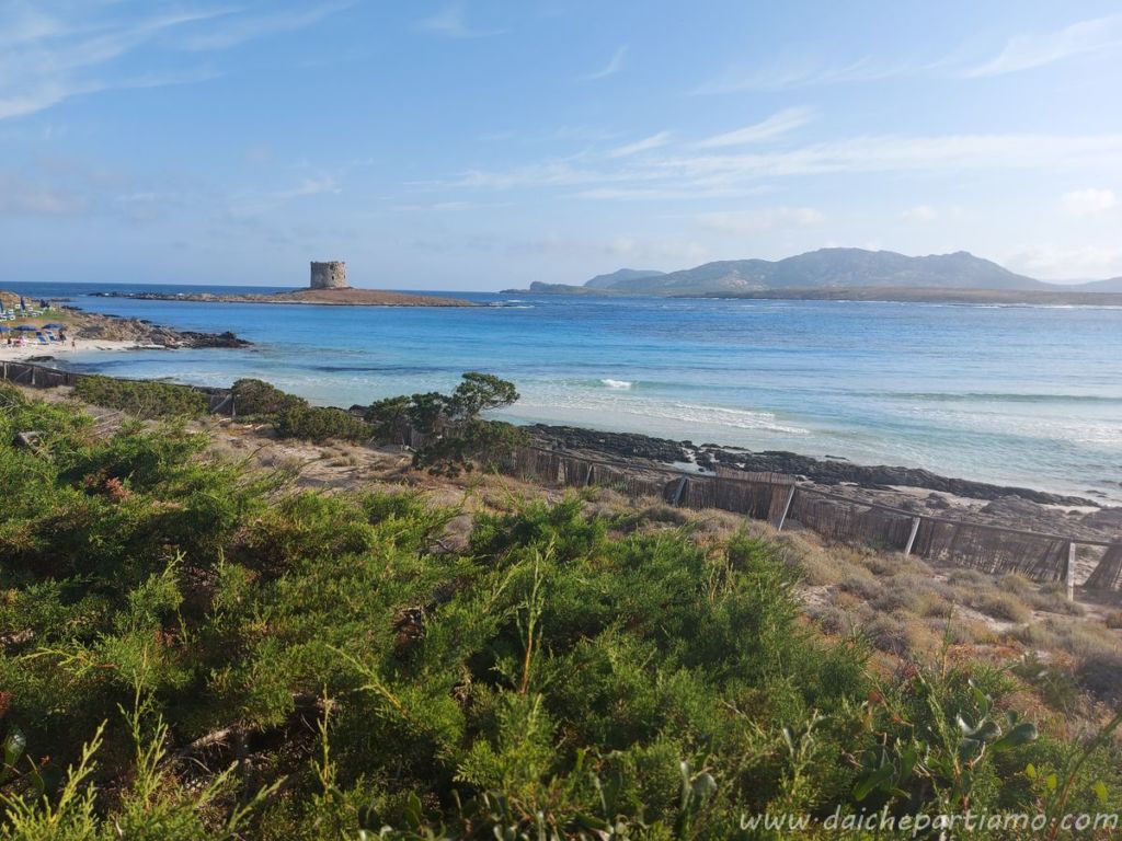 cosa fare nord ovest sardegna la pelosa stintino