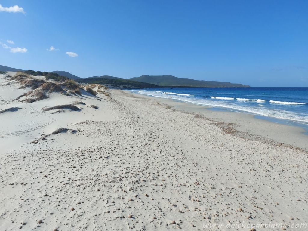 spiaggia dune porto pino più benne spiagge sud sardegna