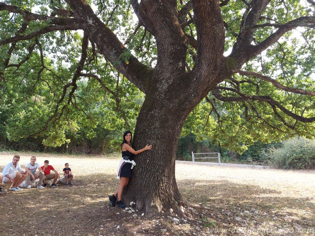 quercia le campestre caserta