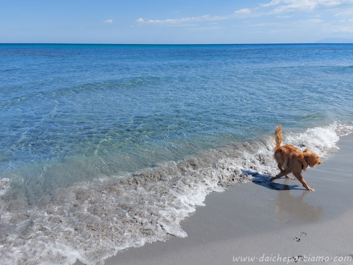 Dog Beach Cala Liberotto