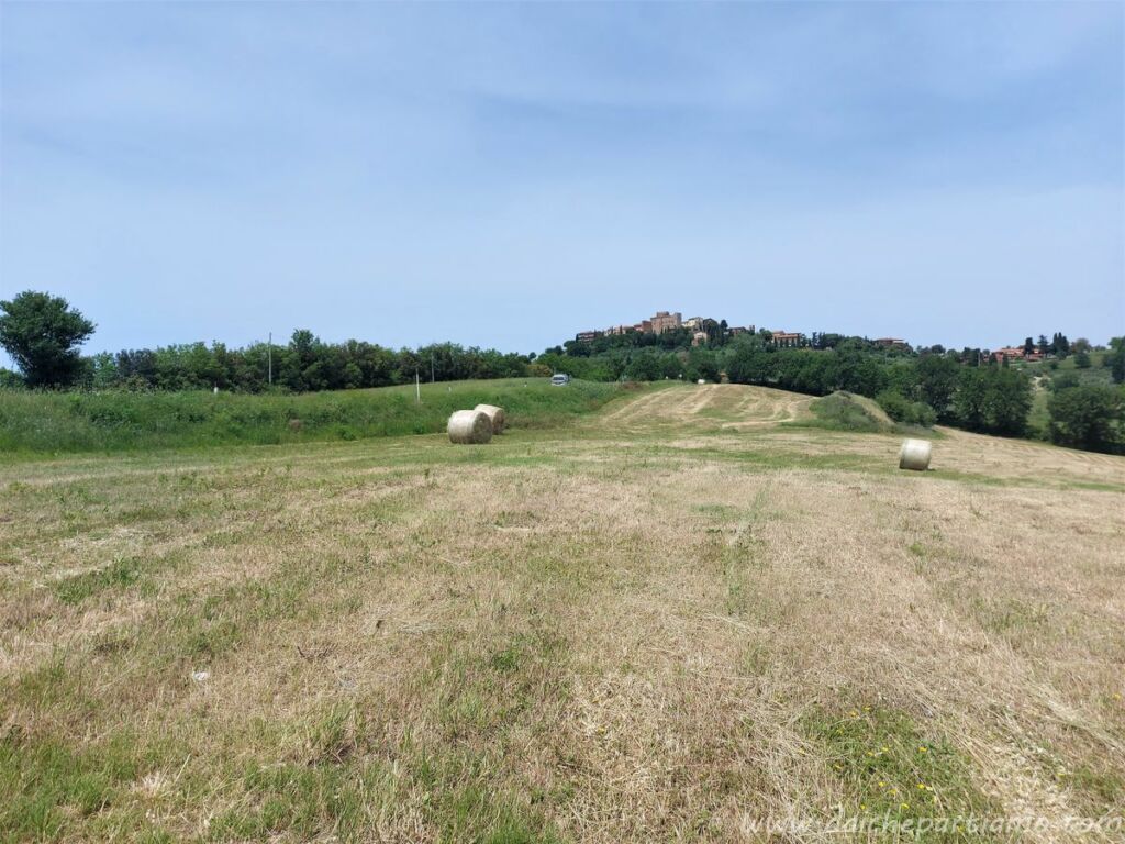 campagna di casole elsa