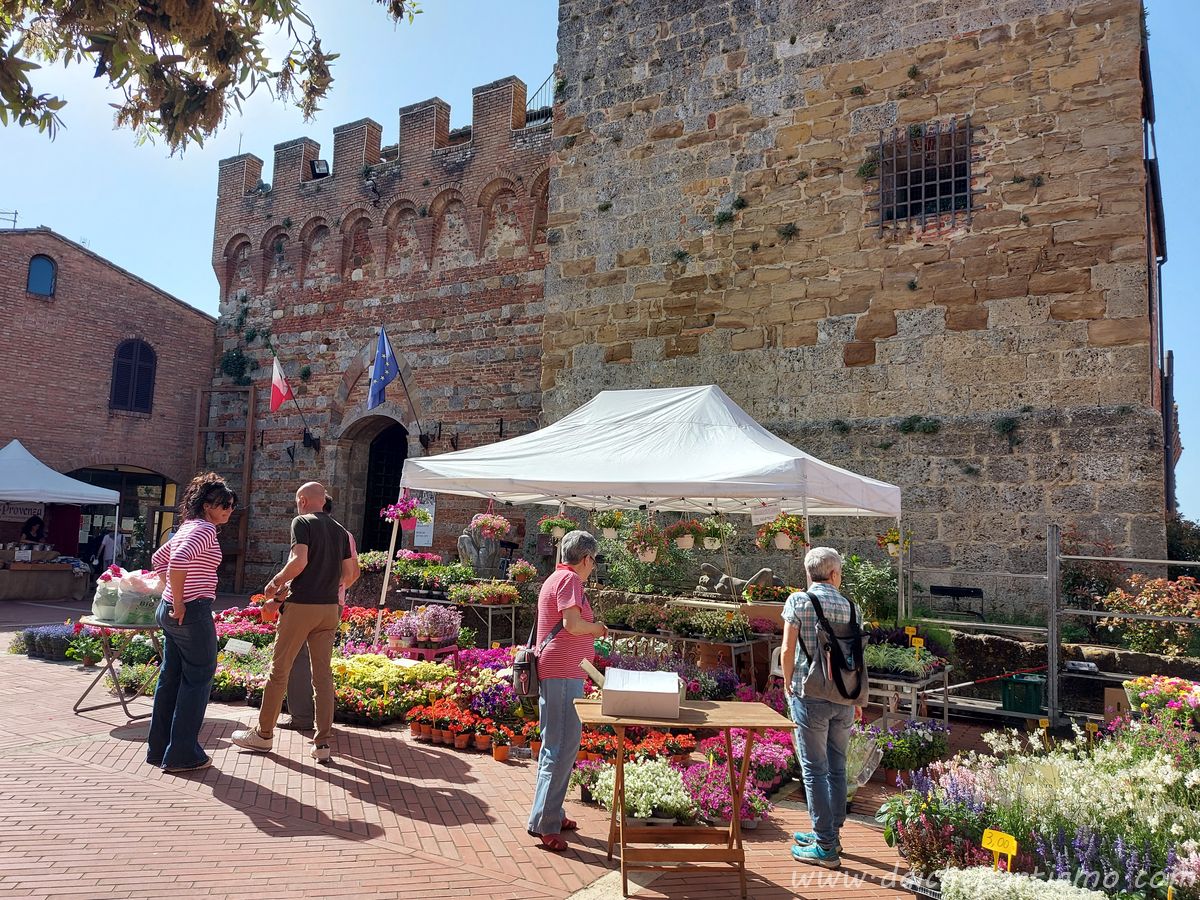 rocca casole elsa