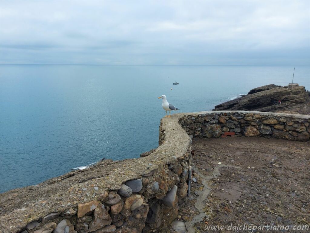 Punta Chiappa liguria