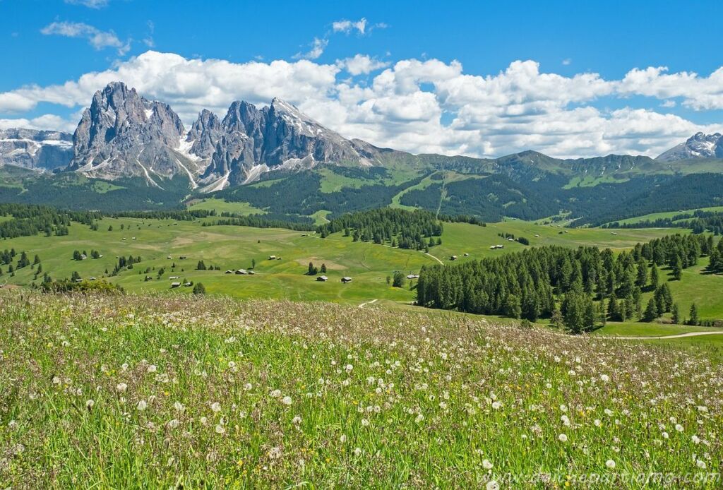 vacanze alpe siusi