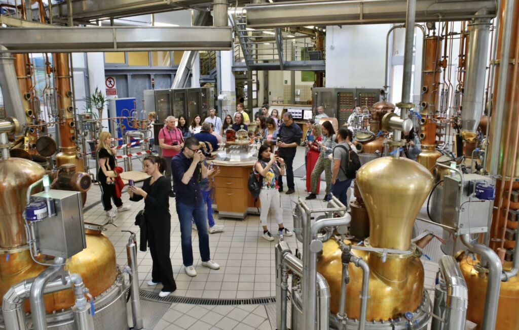 distilleria marzadro