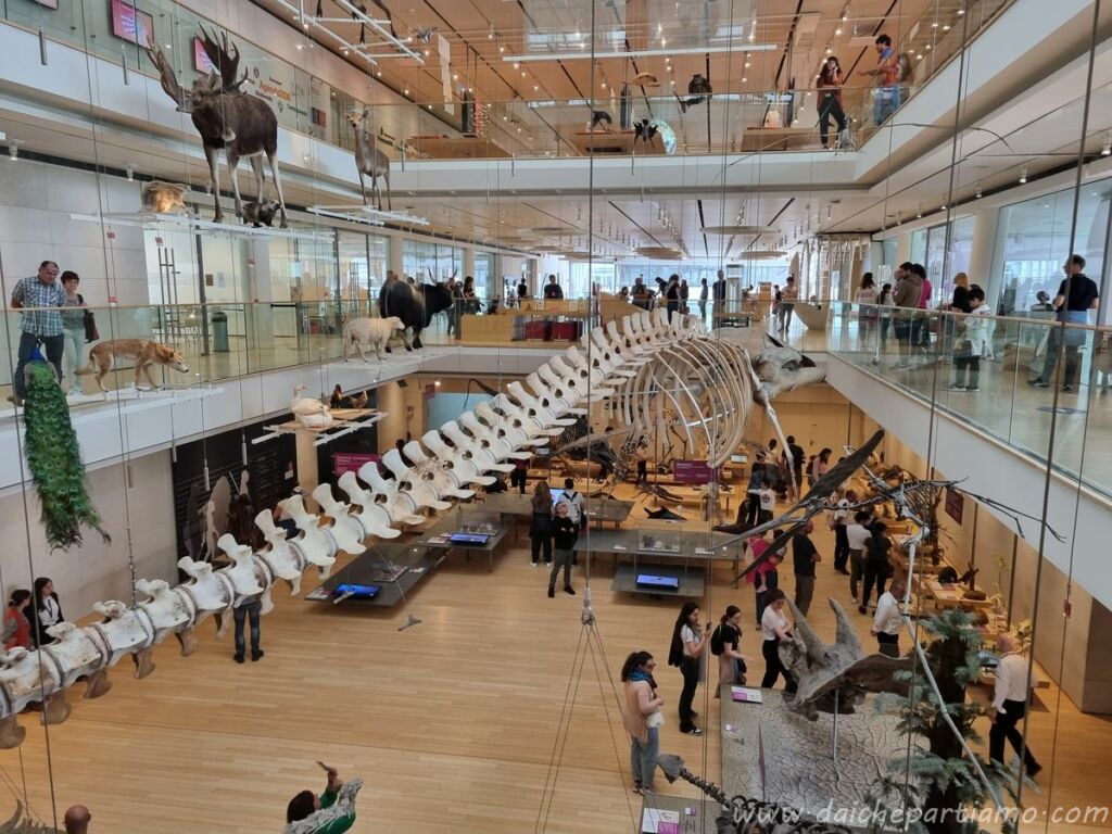 cosa vedere weekend trento muse