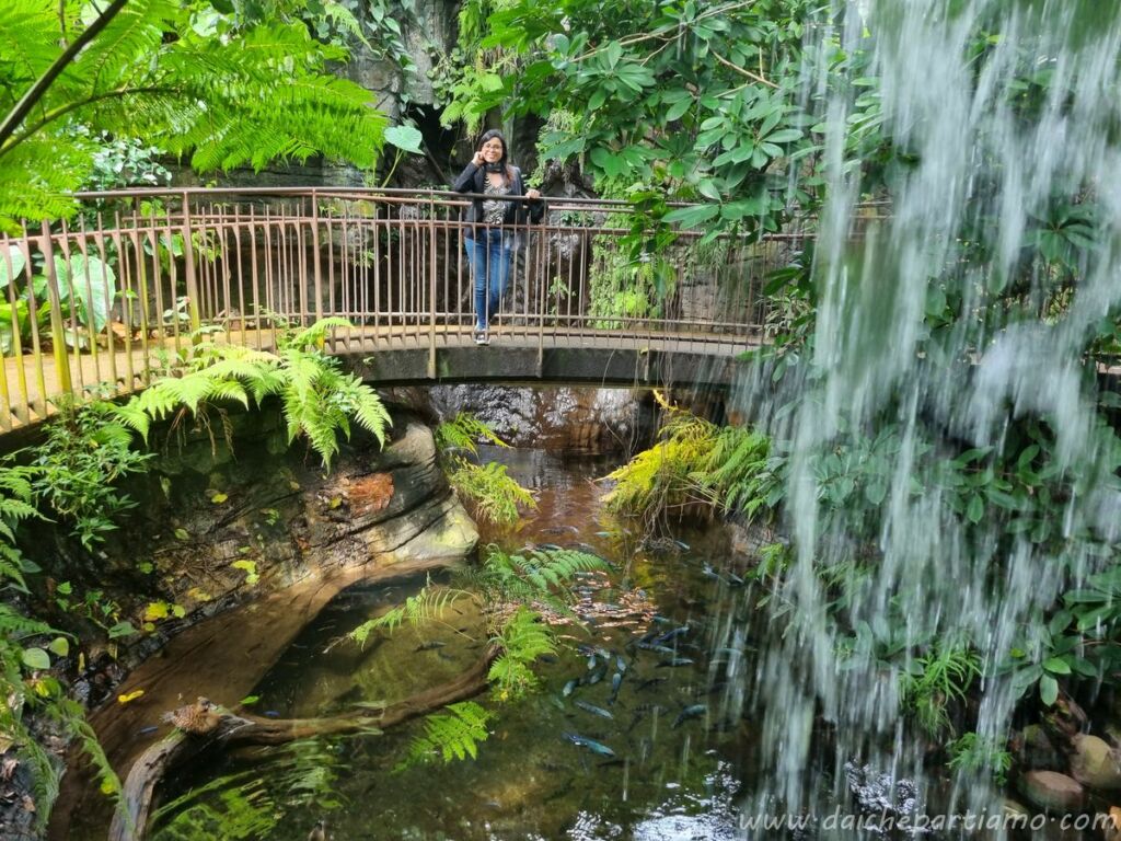 weekend trento cosa vedere muse