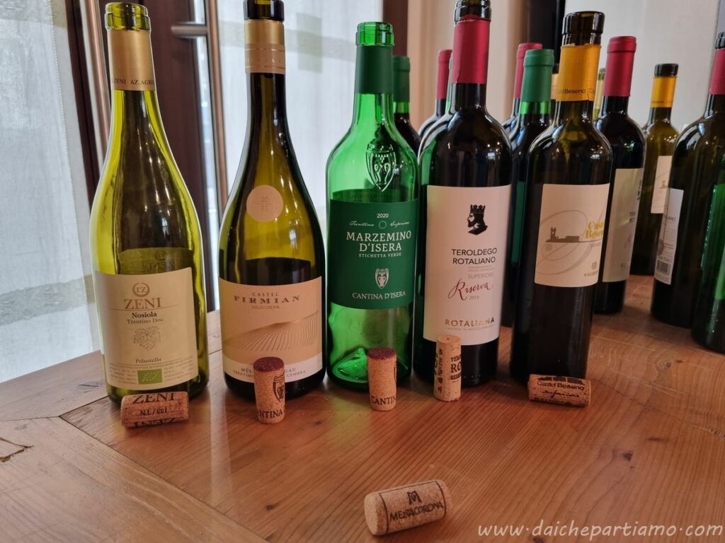 vini trento