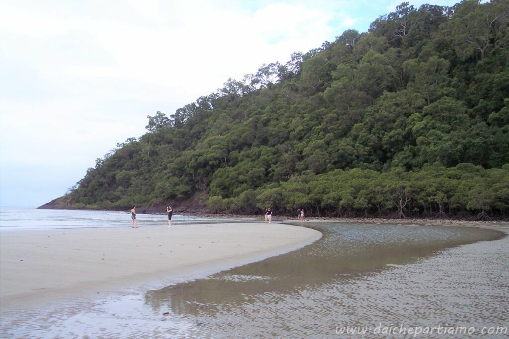 cape tribulation itinerario australia