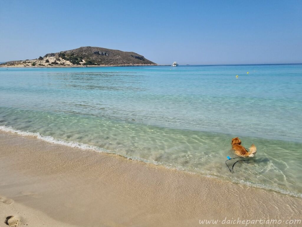 simos beach elafonisos grecia
