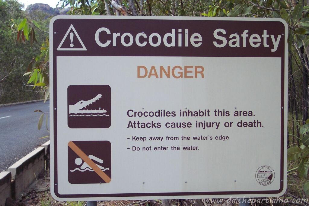 warning australia animali