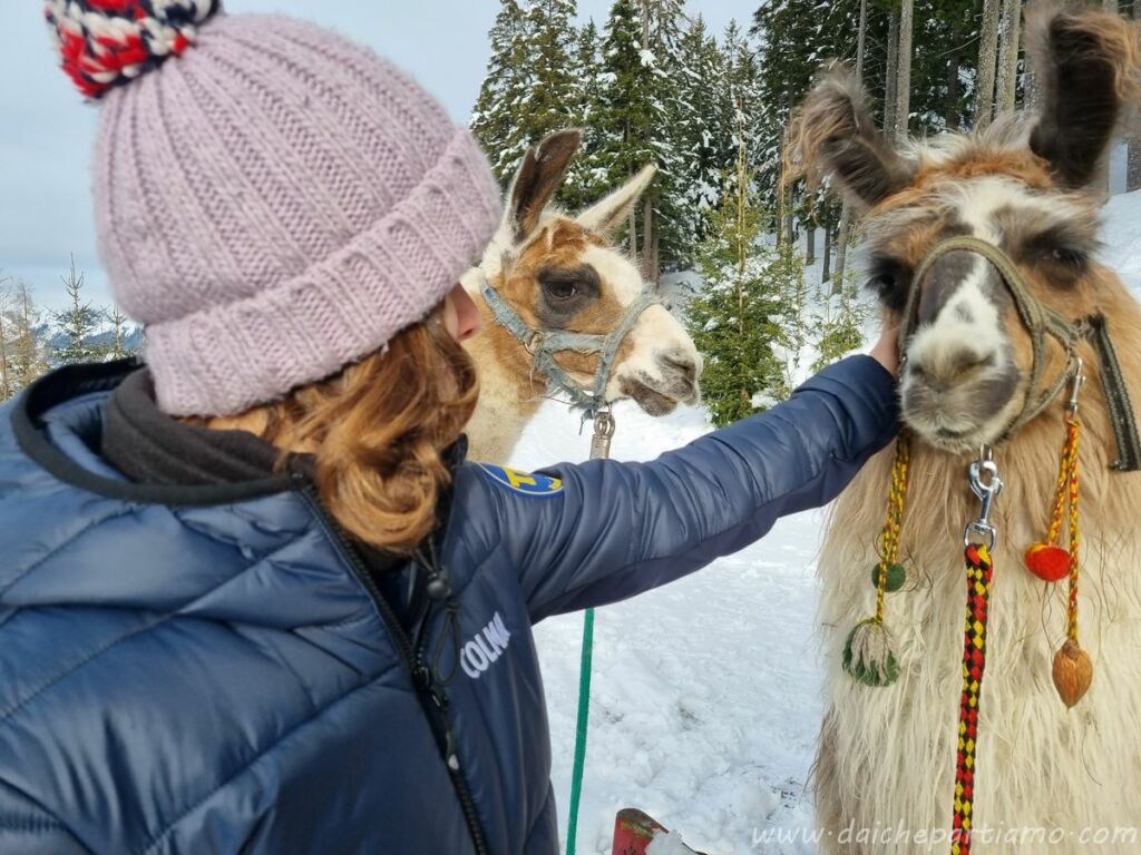 cosa fare tirolo trekking lama