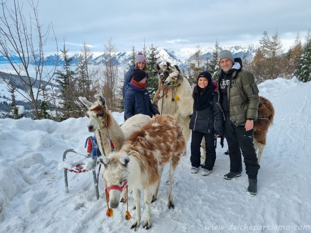 cosa fare tirolo trekking lama