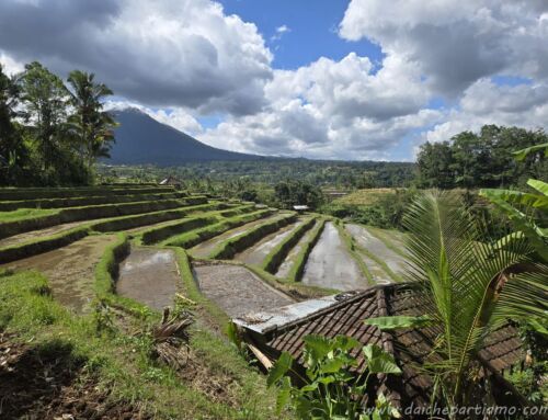 Itinerario in Indonesia con adolescenti: da Java a Komodo, tra templi, risaie e mare da sogno