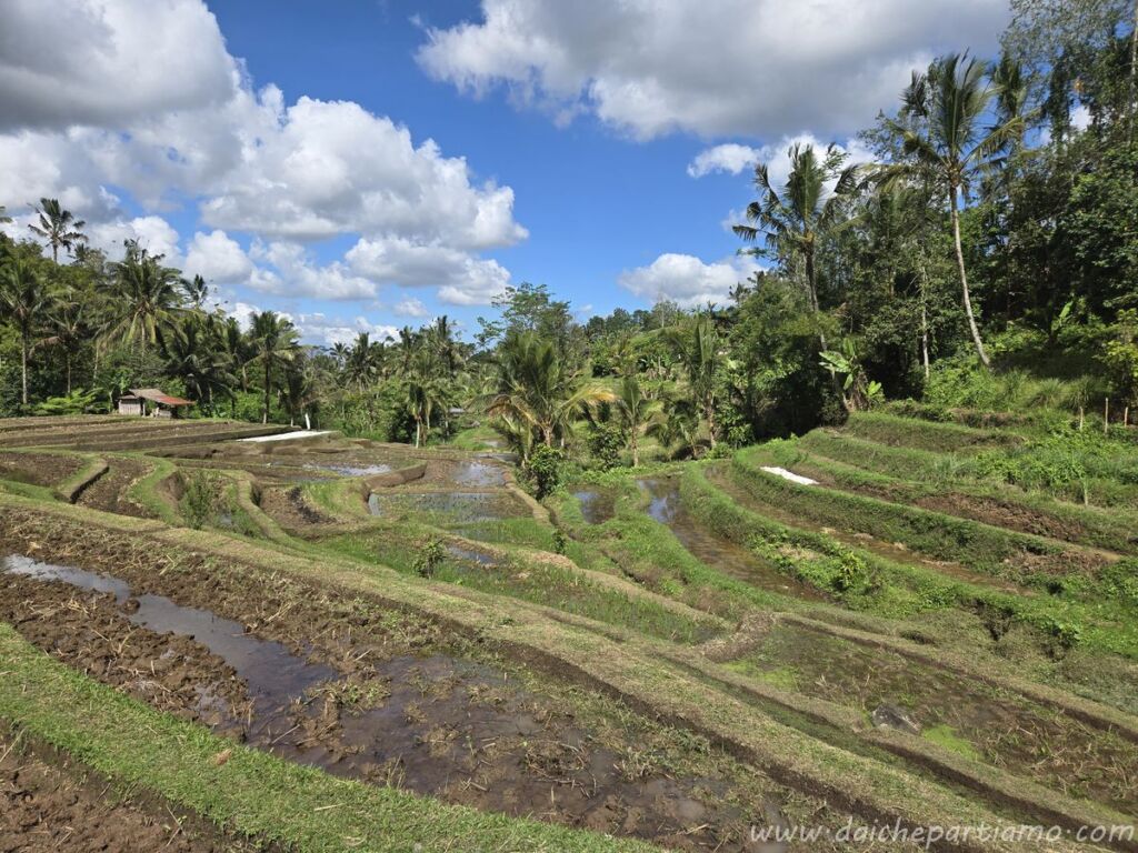 itinerario indonesia