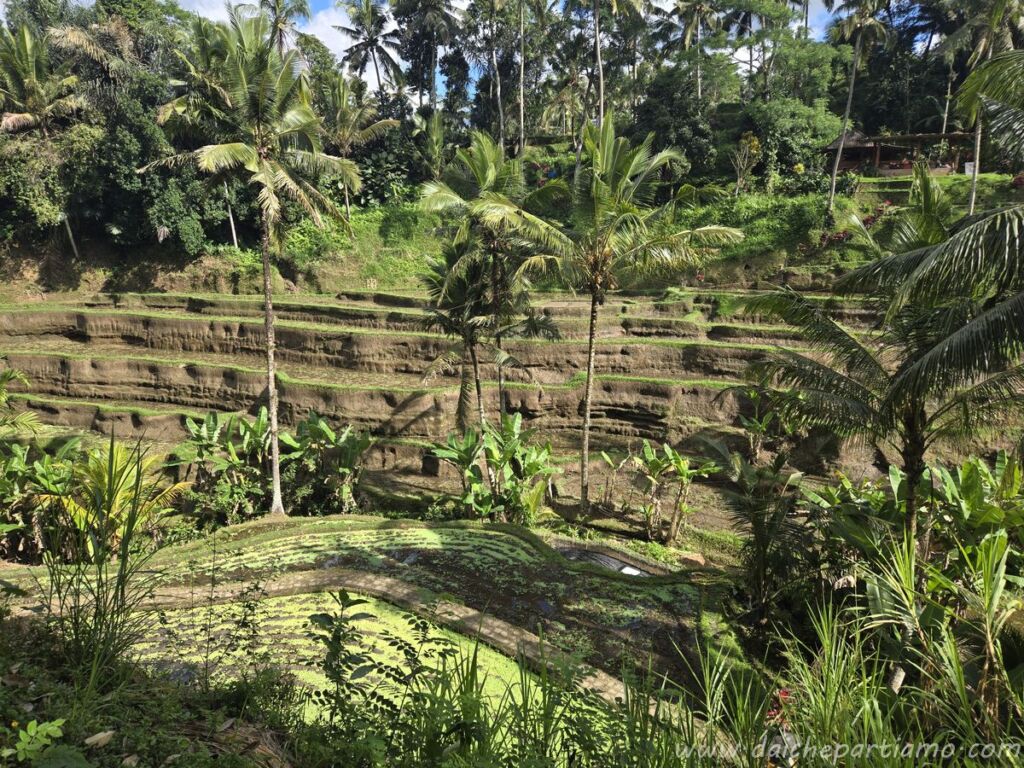 itinerario indonesia