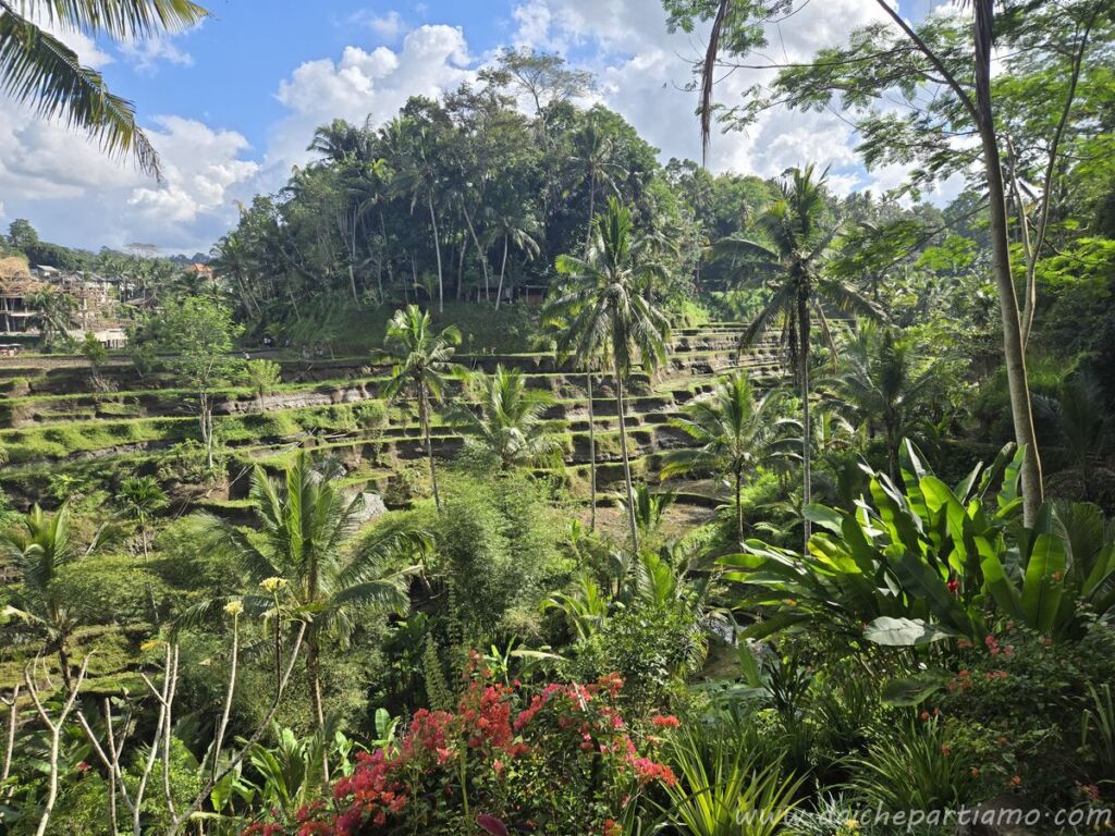 itinerario indonesia