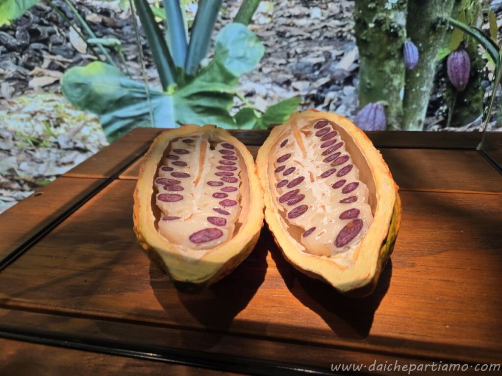 museo cioccolato lindt zurigo